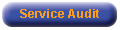 Service Audit